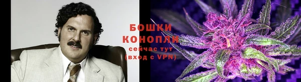 a pvp Сафоново