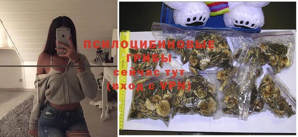 марки nbome Верея